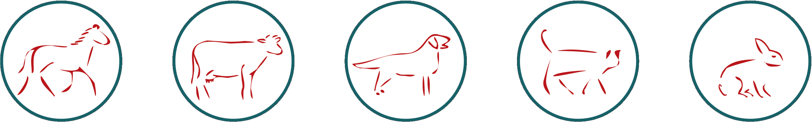 Piktogramme: Pferd, Rind, Hund, Katze und Kaninchen